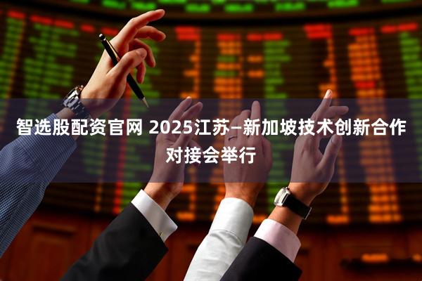 智选股配资官网 2025江苏—新加坡技术创新合作对接会举行