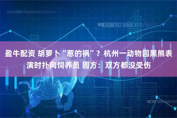 盈牛配资 胡萝卜“惹的祸”？杭州一动物园黑熊表演时扑向饲养员 园方：双方都没受伤