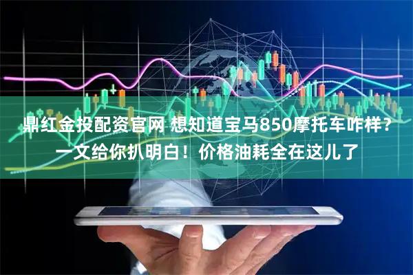 鼎红金投配资官网 想知道宝马850摩托车咋样？一文给你扒明白！价格油耗全在这儿了