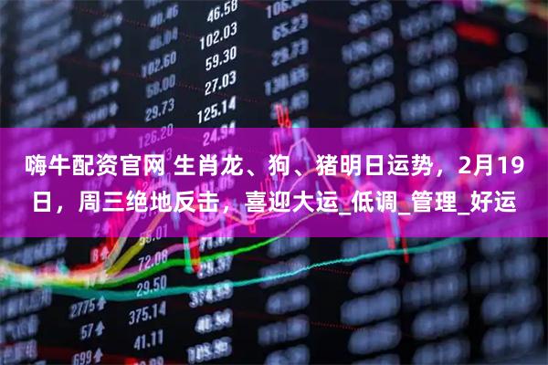 嗨牛配资官网 生肖龙、狗、猪明日运势，2月19日，周三绝地反击，喜迎大运_低调_管理_好运